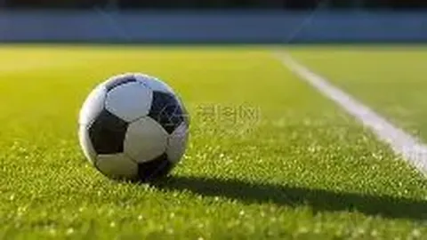 篮球赛事新闻综述